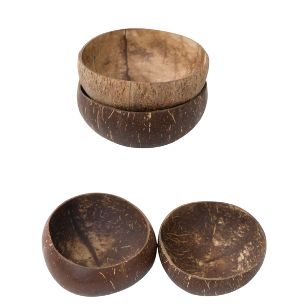 Coconut Shell Bowl