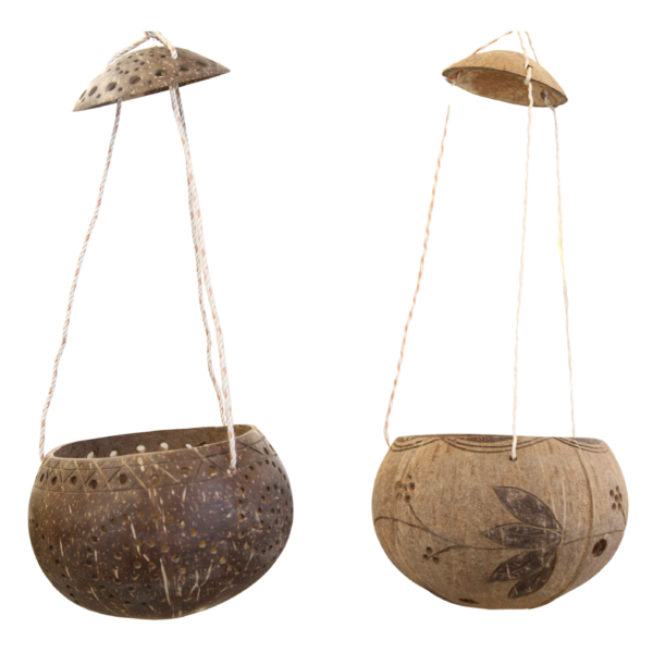 Coconut Hanging Planter